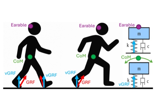 ImpactEar: Cross Activity Ground Reaction Force Estimation using Earable IMUs teaser figure