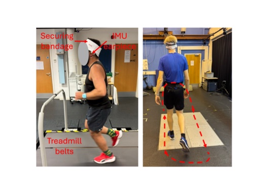 Ear-worn inertial sensors can predict gait metrics and reconstruct vertical ground reaction force curves during running teaser figure